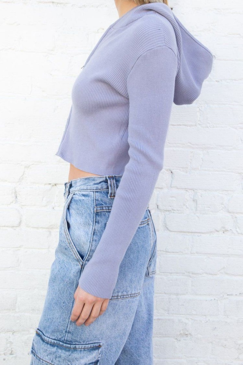 Sweat a Capuche Brandy Melville Arden Crop Violette | PIA-01557318